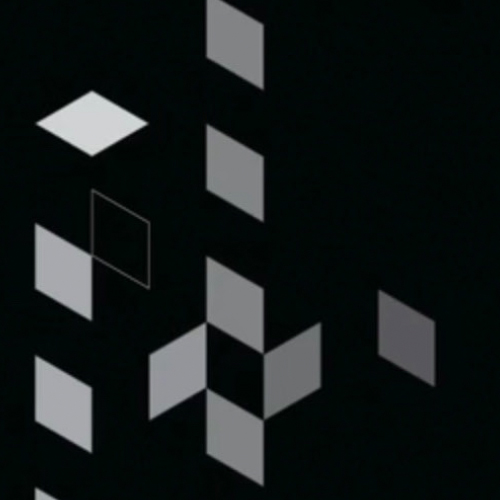 cropped image of one of the animiations, black and white diamonds